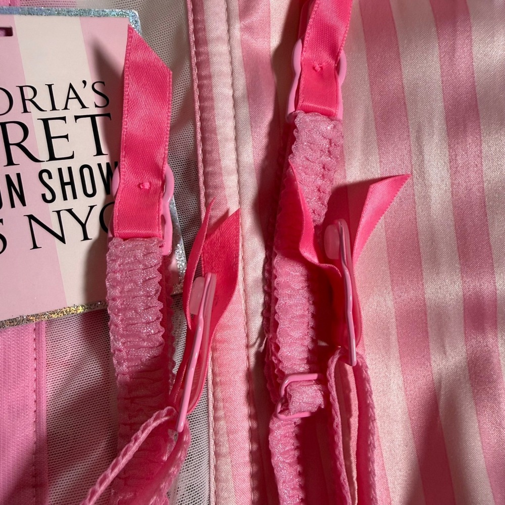 NWT Victoria's Secret 2015 Fashion Show 34C Pink Stripe Lace Corset Bustier Rare - Picture 11 of 13